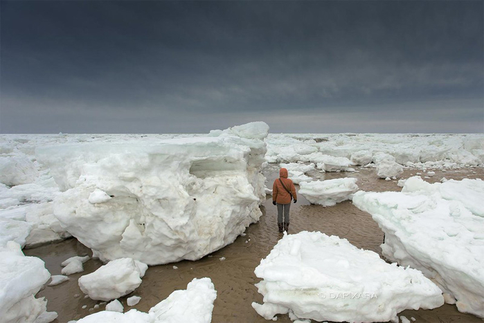 
Một tảng băng khổng lồ trôi vào bờ biển Cape Cod, Massachusetts, và vỡ vụn thành từng mảnh.