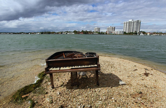
Một chiếc piano cũ trên bờ biển Miami, Florida, do một cậu bé lén khiên ra để lên đó.