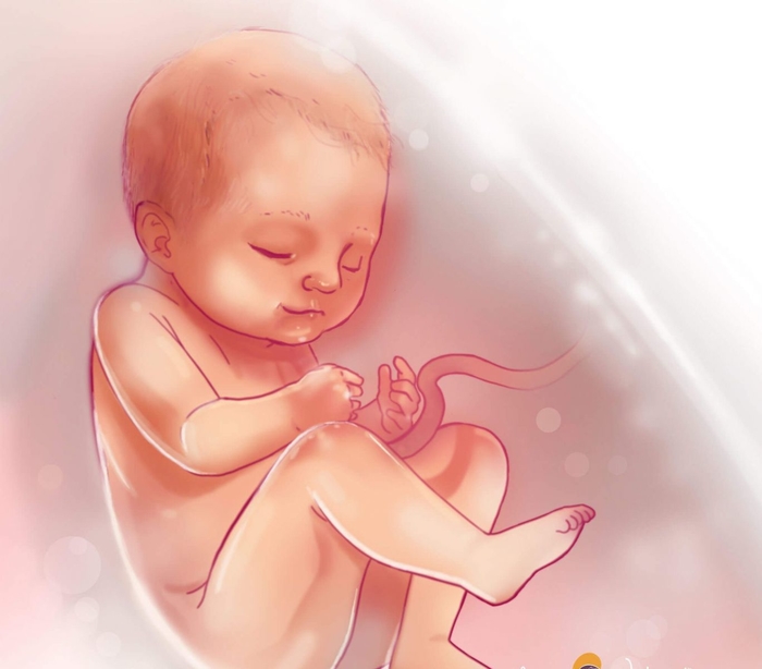 Không cần đợi đến lúc chào đời, bé đã có thể hít thở, hít thở trong bụng mẹ như một siêu nhân