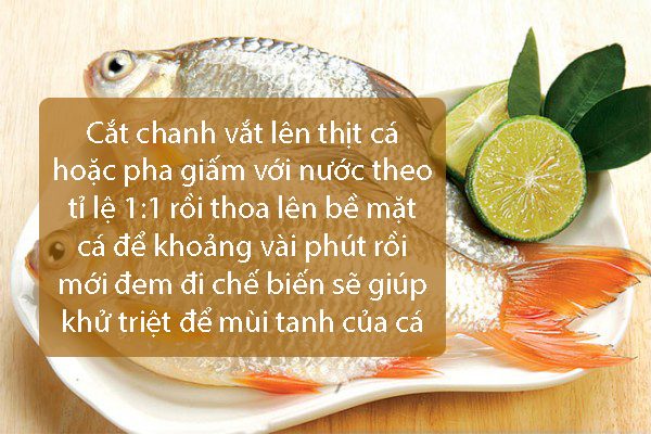 
Có nhiều cách để khử mùi tanh cho cá, tuy nhiên việc dùng chanh và giấm là phương pháp đơn giản nhất để giúp cá loại bỏ mùi tanh.