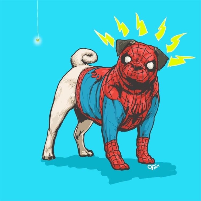 
Spider-Man dù là cậu học trò Peter Parker, chàng Người Nhện bay lượn khắp thành phố hay chú chó Pug cũng không thôi đáng yêu nổi.