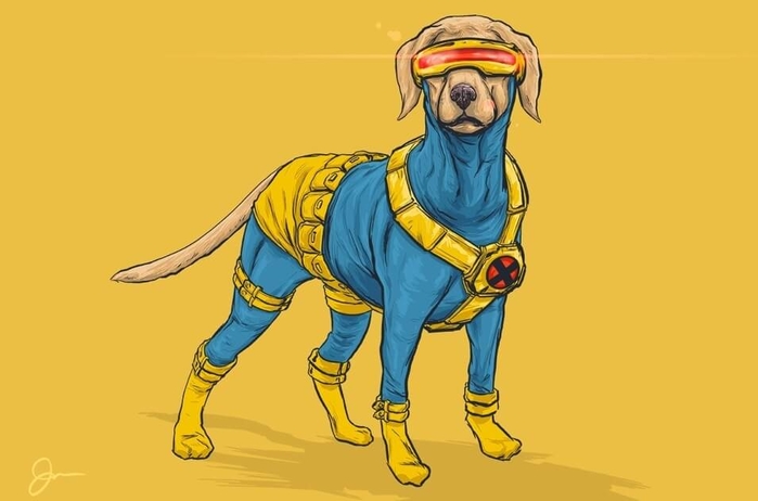 
Chó săn Labrador Retriever với ánh mắt sát thủ bẩm sinh quả là quá hợp để vào vai Cyclops.