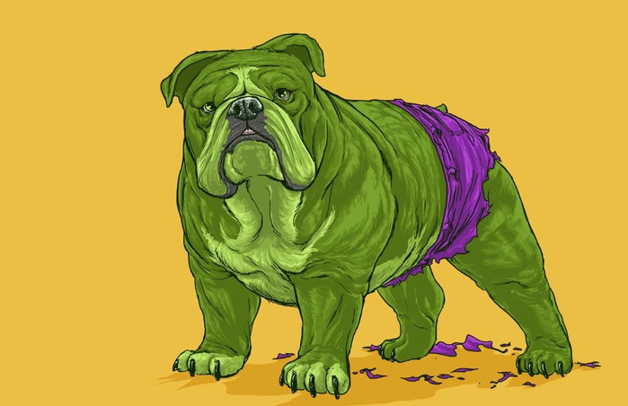 
Chó Bull cục mịch vào vai Hulk quá chuẩn, lại thêm quả quần tím huyền thoại nữa nhé.