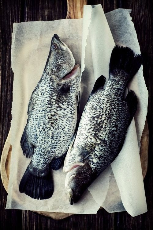 
Cá tươi sống sẽ giúp món ăn trọn vẹn được hương vị và dinh dưỡng