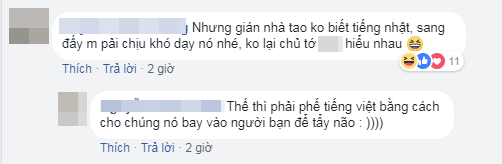 
Vấn đề ở đây là gián ở Việt Nam không biết tiếng Nhật.