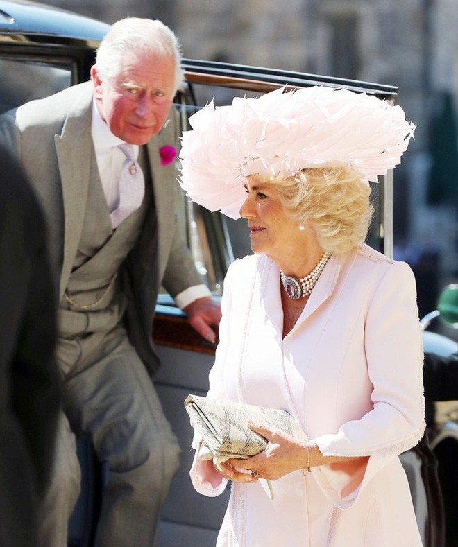 
Xuất hiện với chiếc đầm hồng nhẹ nhàng và chiếc mũ lông được thiết kế rất kĩ lưỡng.  Nữ công tước xứ Cornwall vừa đủ ấn tượng lại vừa đảm bảo quy định về trang phục.