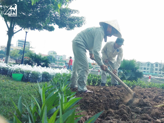
Không gian quanh phố Trịnh Công Sơn có rất nhiều hoa, được các công nhân trồng thành từng khu vực một cách cẩn thận.