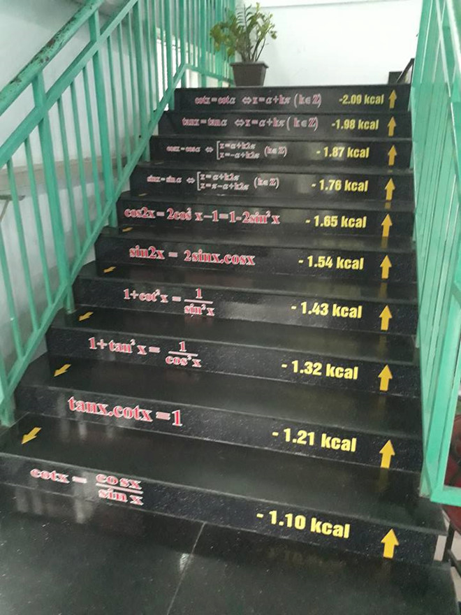 
Sau bậc thang cầu vồng Lâm Đồng, là thời đại của bậc thang công thức Đồng Nai.