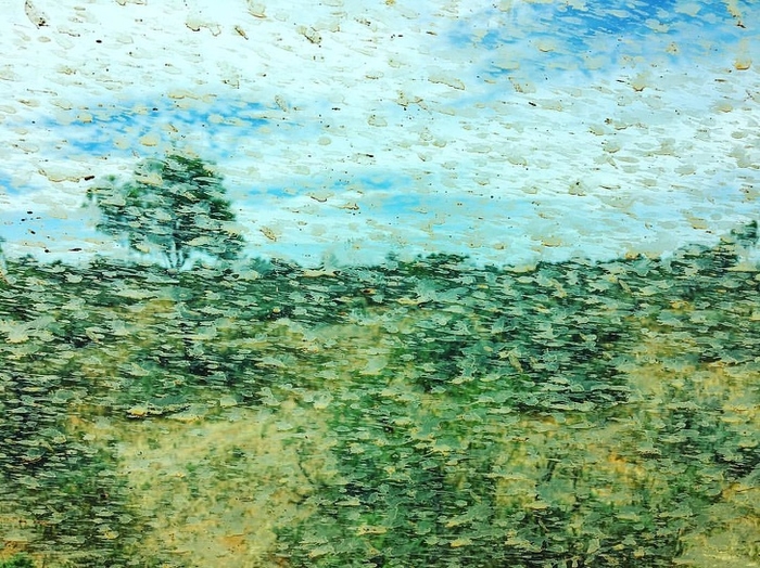 
Bùn bắn tung tóe lên cửa kính xe hơi trông chẳng khác gì tranh sơn dầu đậm phong cách Monet.