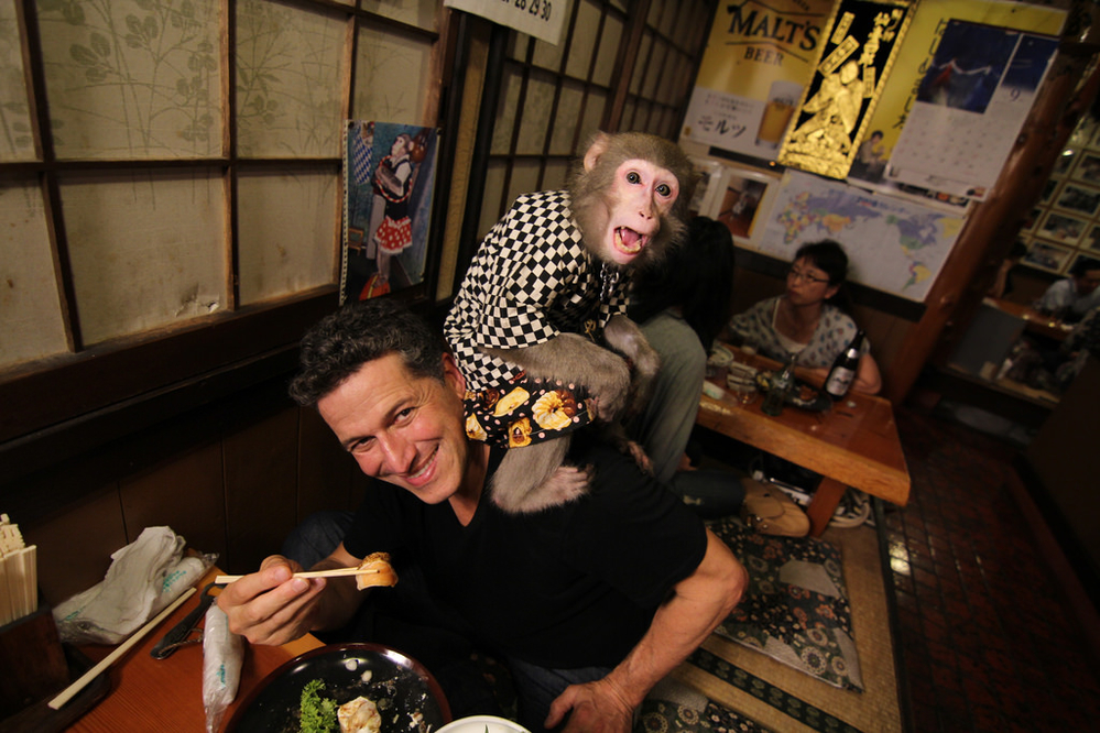 
Du khách thích thú dùng bữa với sự phục vụ của 2 chú khỉ