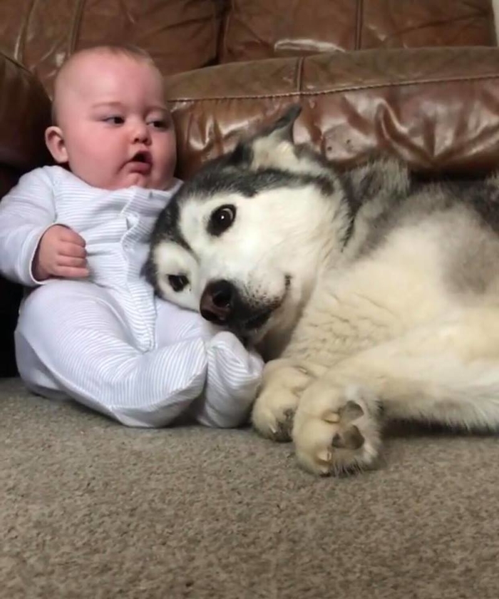 Bạn có "rụng tim" vì hai đứa chưa? Bạn có "rụng tim" vì hai đứa chưa?