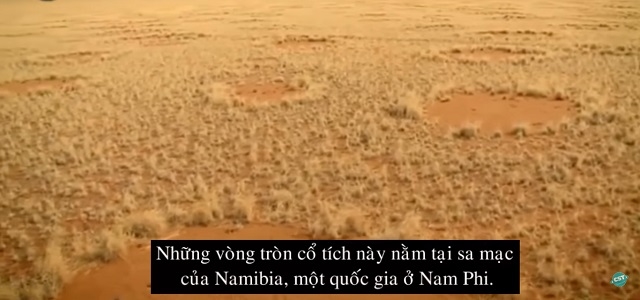 
Vậy thực sự điều gì tạo nên những vòng tròn kỳ lạ này? Các nhà nghiên cứu đã chỉ ra rằng cỏ chết khô trên mẫu đất lấy trong chính các vòng tròn, nhưng lại mọc xanh tốt trên đất lấy từ vành đai của chúng, chứng tỏ phải có gì đó khác biệt giữa hai loại đất.