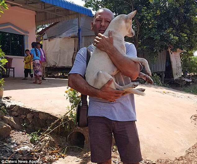 
Ông Michael, người đã ra tay giải cứu cho những chú chó trong hàng chục lò mổ ở Campuchia