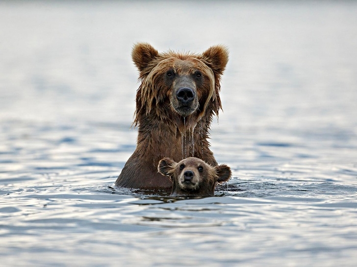 Mới tí tuổi chưa có gấu nên chỉ rủ má đi bơi được thôi!