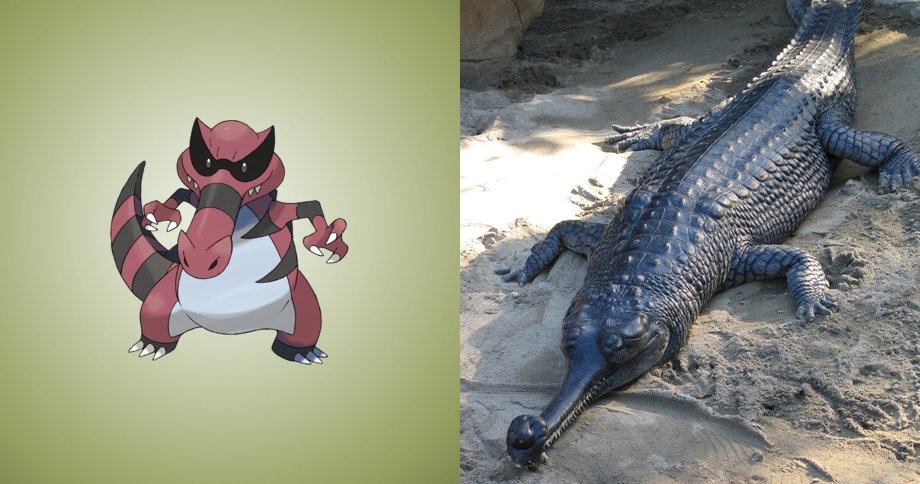 Cá sấu Ấn Độ làm gì trong thế giới pokemon mà da thì đỏ người thì vằn vện như thế này?