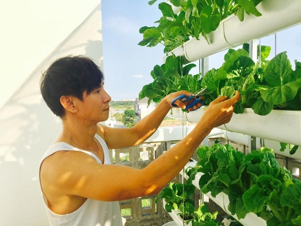 Những vườn rau trái xanh tự nhiên trong biệt thự triệu đô của sao Việt - Tin sao Viet - Tin tuc sao Viet - Scandal sao Viet - Tin tuc cua Sao - Tin cua Sao