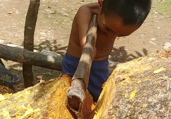 
Cậu bé cụt hai tay nhưng vẫn dùng rìu để chặt cây