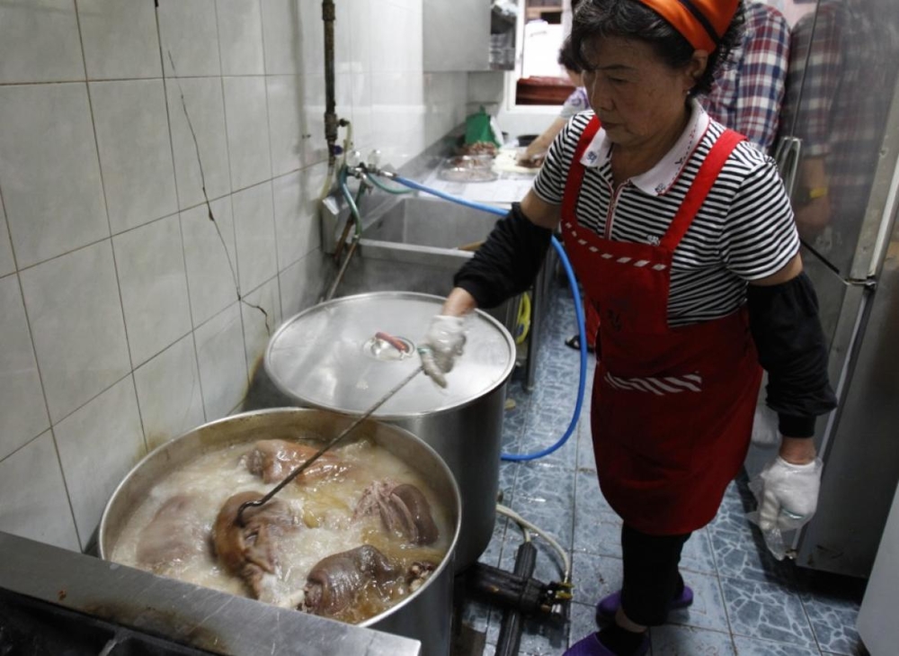 Có một điều Hàn Quốc muốn giấu cả thế giới: Chợ thịt chó nhộn nhịp và văn hóa thịt chó lâu đời