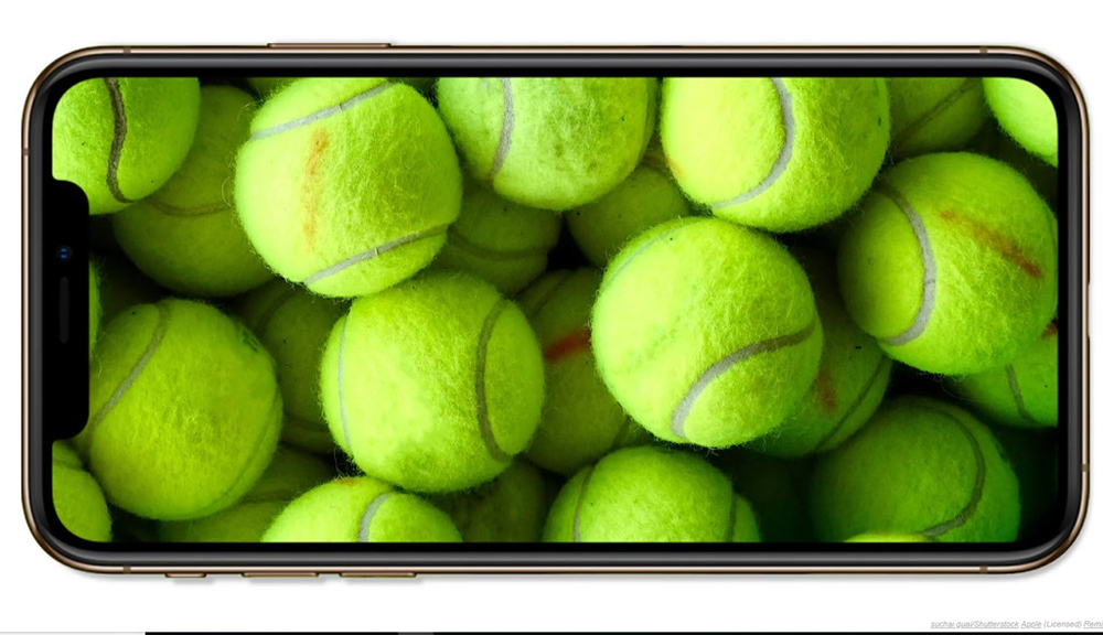 
iPhone Xs được phát âm là "Ten es" gần giống với "tennis". Cộng đồng mạng bảo nhau rằng cái tên khá "kém sang" so với giá tiền của sản phẩm này. Ngoài ra, cái tên Xs cũng khiến người ta liên tưởng đến size quần áo!