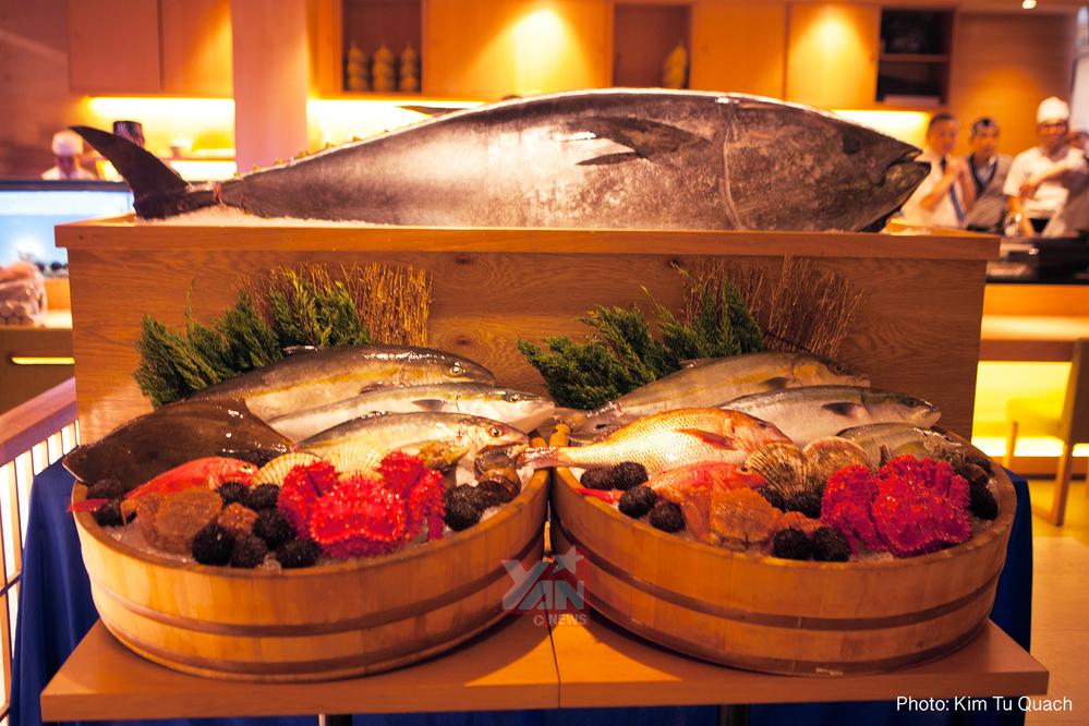 
Hình ảnh trưng bày Cá ngừ vây xanh đại dương tại Sushi Hokkaido Sachi chi nhánh Pasteur.