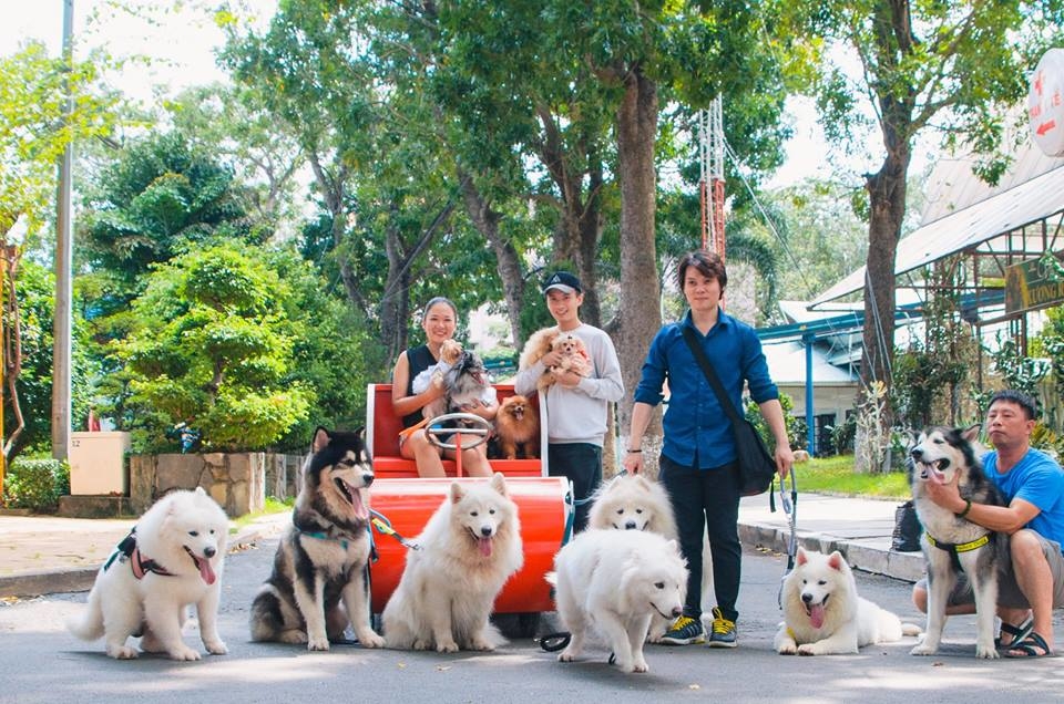 Đây là lần đầu tiên Lễ hội cún cưng Sài Gòn được diễn ra với quy mô lớn với sự góp mặt của hàng ngàn chú cún cưng cùng nhiều phần thi hấp dẫn.