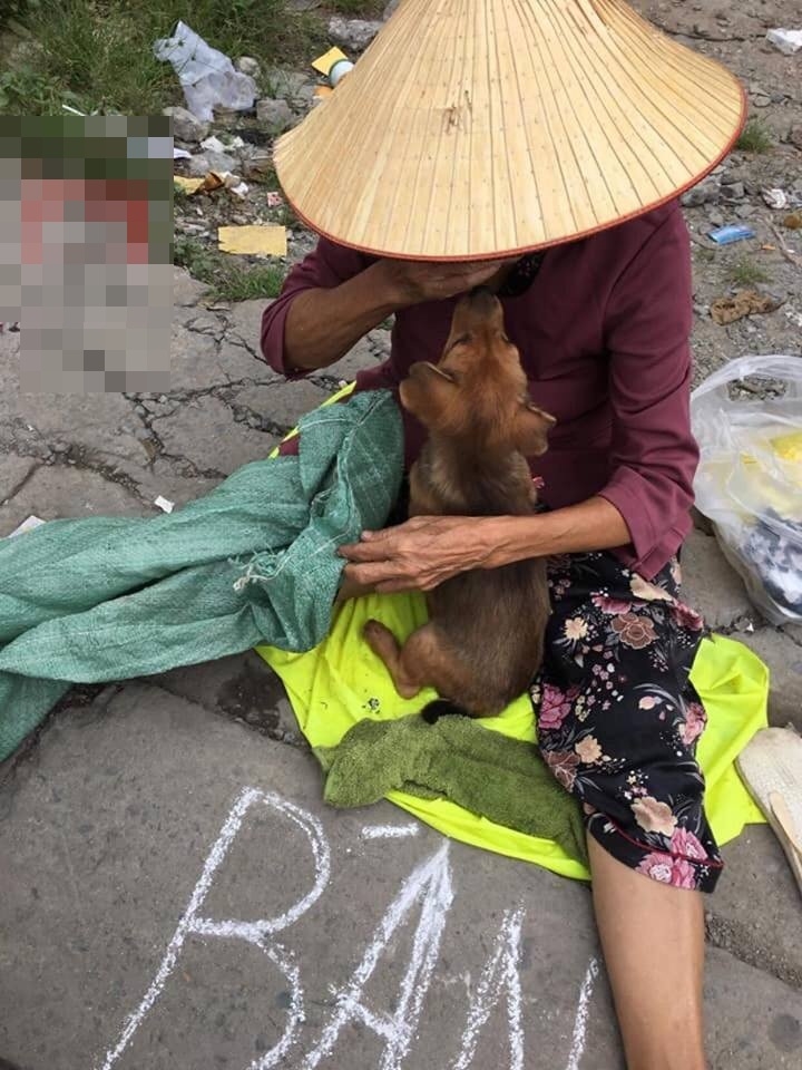 Xót xa hình ảnh “nụ hôn từ biệt” của cụ già và chú chó nhỏ giữa phố Sài Gòn khiến người xem bật khóc