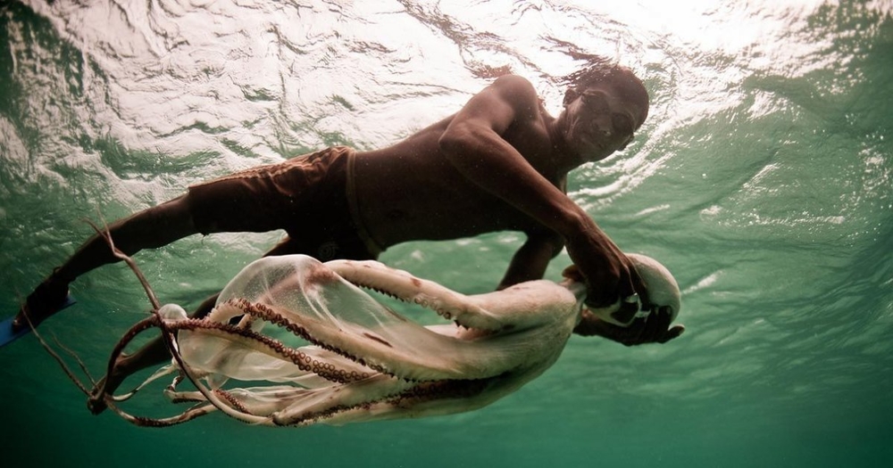 60% thời gian trong ngày của người Bajau là ở dưới nước, cho nên những biến đổi về cấu tạo cơ thể là hợp lý để họ có thể thỏa sức chơi đùa với đại dương như một người cá thực thụ.