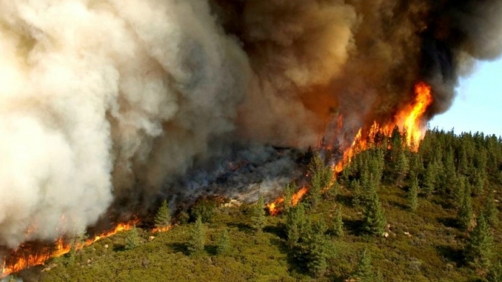 Cháy rừng vẫn chưa buông tha nước Mỹ: Phim trường bị thiêu rụi, sao Hollywood cửa mất nhà tan