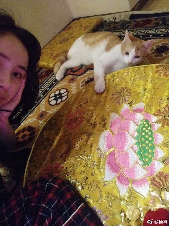 
Đỉnh điểm của những bình luận chỉ trích dành cho Dương Mịch là vào dịp Tết năm nay, khi cô thà ở căn hộ tại Bắc Kinh chụp ảnh cùng mèo cưng chứ nhất quyết không về thăm Tiểu Gạo Nếp.