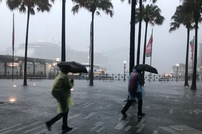 
Sáng 28/11, một cơn bão lớn đã đổ bộ thành phố Sydney, Úc gây mưa lớn trên diện rộng