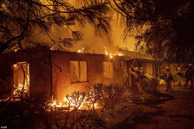 Xót xa những khuôn mặt đáng thương bị bỏ lại trong cảnh sơ tán cháy rừng kinh hoàng ở Mỹ