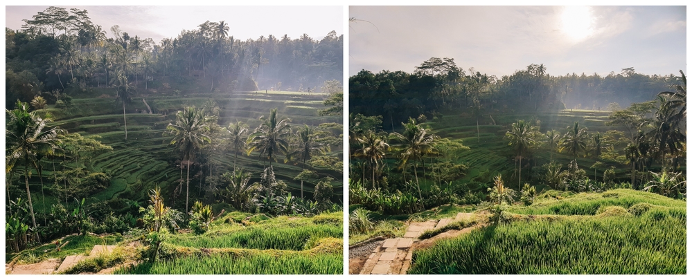 Ngắm Đà Lạt và Bali đẹp choáng ngợp qua ảnh góc rộng