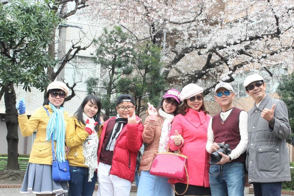 
Đoàn khách Vietravel tham quan Nhật Bản mùa hoa anh đào