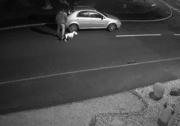 
Người đàn ông đậu xe bên đường rồi dắt ra ngoài một chú chó.