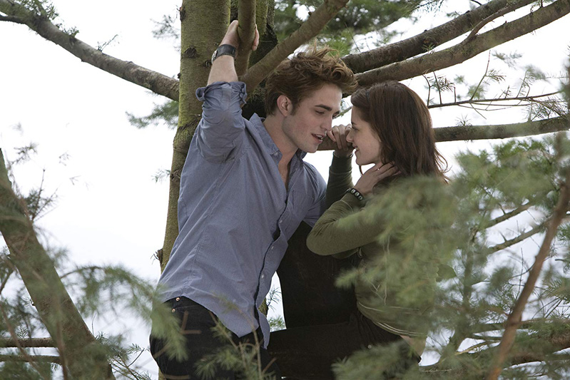 
Bất chấp tất cả, giống như tình yêu mà Edward và Bella dành cho nhau, Twilight saga vẫn trở thành một trong những series phim thành công nhất mọi thời đại với doanh thu tổng cộng trên 3,3 tỷ đô.