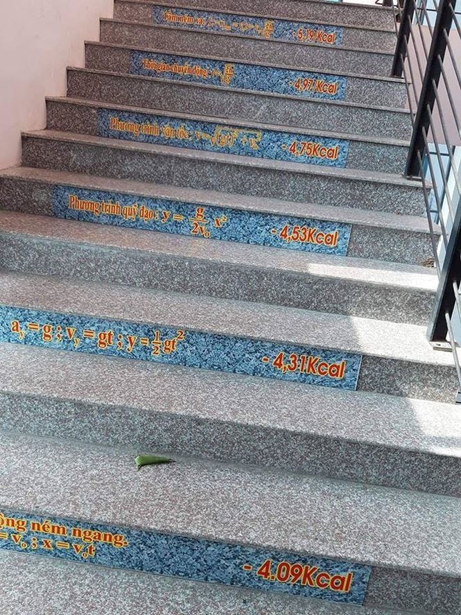 
Các bậc cầu thang "công thức" của trường THPT Chuyên Biên Hòa (Hà Nam). 