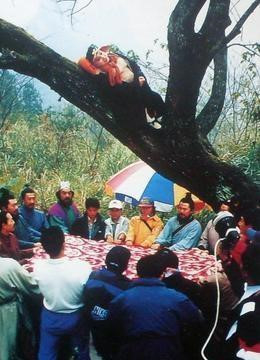 
Cảnh Trư Bát Giới ngủ trên cây cũng phải nhờ sự hỗ trợ của cả ekip làm phim lẫn diễn viên. Lo lắng Trư Bát sẽ té bất cứ lúc nào nên cả đoàn làm phim đã giữ tấm chăn để đề phòng.