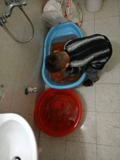 
Hai cậu nhóc đã cho xà phòng vào… tắm rửa cho đàn cá như thế này đây!