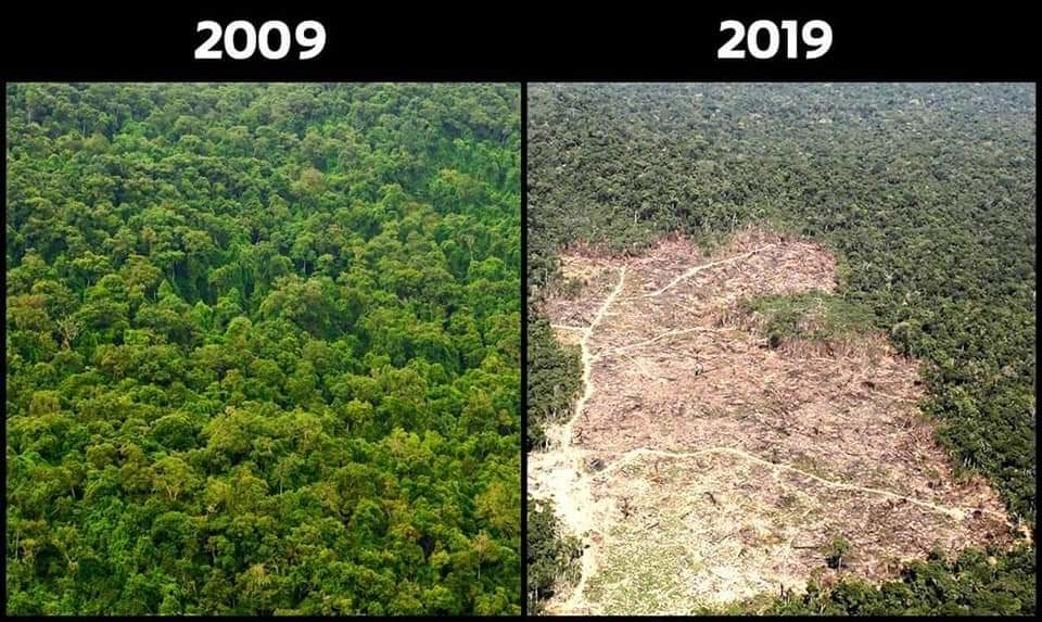 
Vốn là lá phổi xanh của Trái đất nhưng tình trạng chặt phá rừng lấy đất canh tác đã khiến rừng già Amazon kêu khóc trong đau thương. Từ tháng 8/2017 đến tháng 7/2018, tức là chỉ trong một năm, diện tích rừng Amazon bị tàn phá tại Brazil đã tăng 13,7%, ước tính tổng diện tích biến mất là 7.900km2.