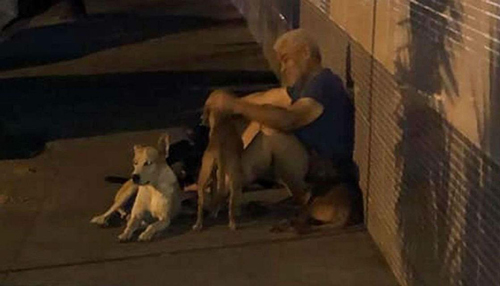 
Ông Luiz coi những chú chó như những người bạn của mình - Ảnh: Reddit