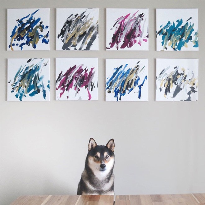 “Chó nhà người ta” có Instagram riêng, giúp chủ kiếm hơn 116 triệu đồng nhờ tài vẽ tranh 