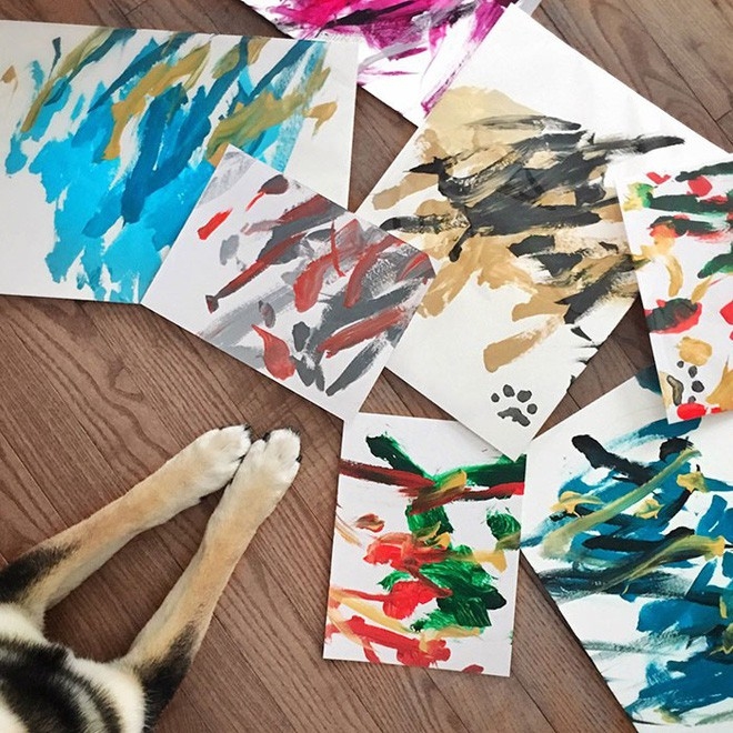 “Chó nhà người ta” có Instagram riêng, giúp chủ kiếm hơn 116 triệu đồng nhờ tài vẽ tranh 