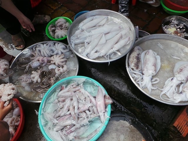  
Diện tích chợ tuy nhỏ nhưng vẫn đảm bảo đa dạng hải sản.