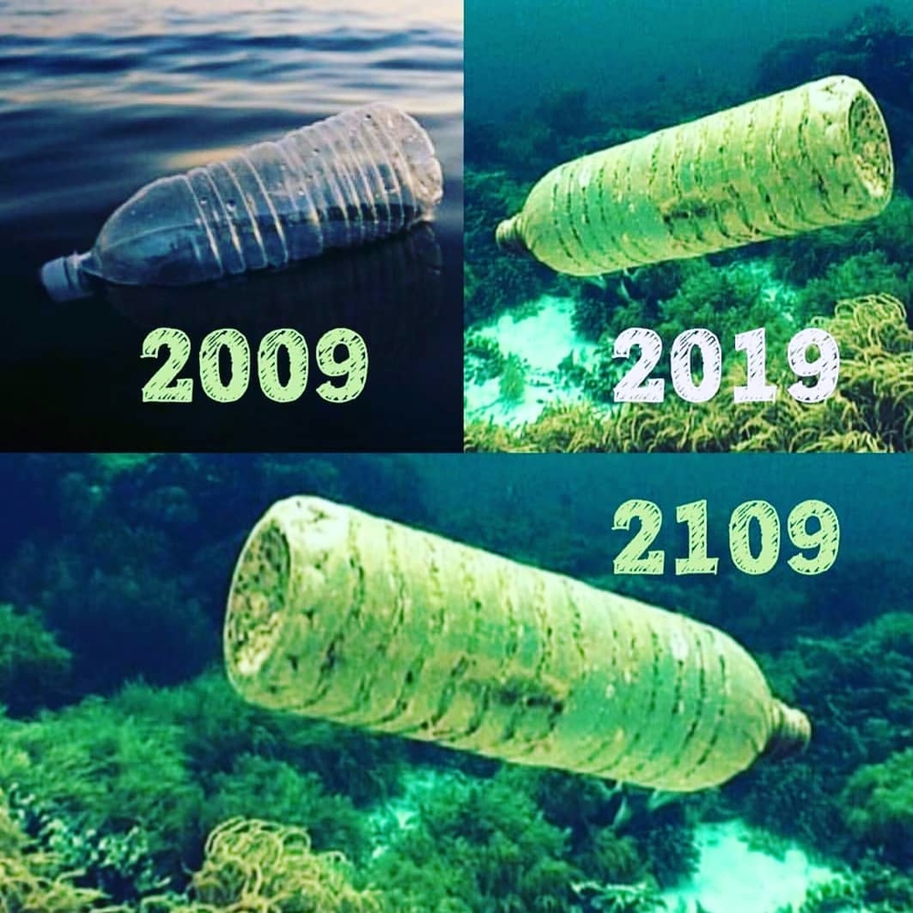 
Bạn biết thứ gì có thể trường tồn suốt hàng thế kỷ không? Chính là nhựa.