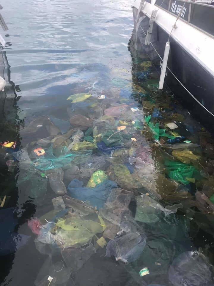 Rác thải bủa vây cả tấm biển cảnh báo không vứt rác trên đảo