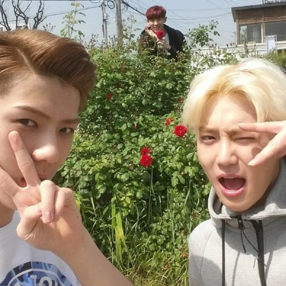 
"Khá Yeol" quẩy bên vườn hồng cũng không quên ké cùng anh em một tấm hình.