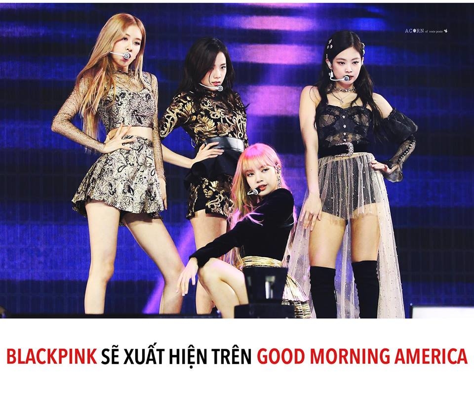 BLACKPINK tham dự Good Morning America, Knet Hàn mỉa mai: 