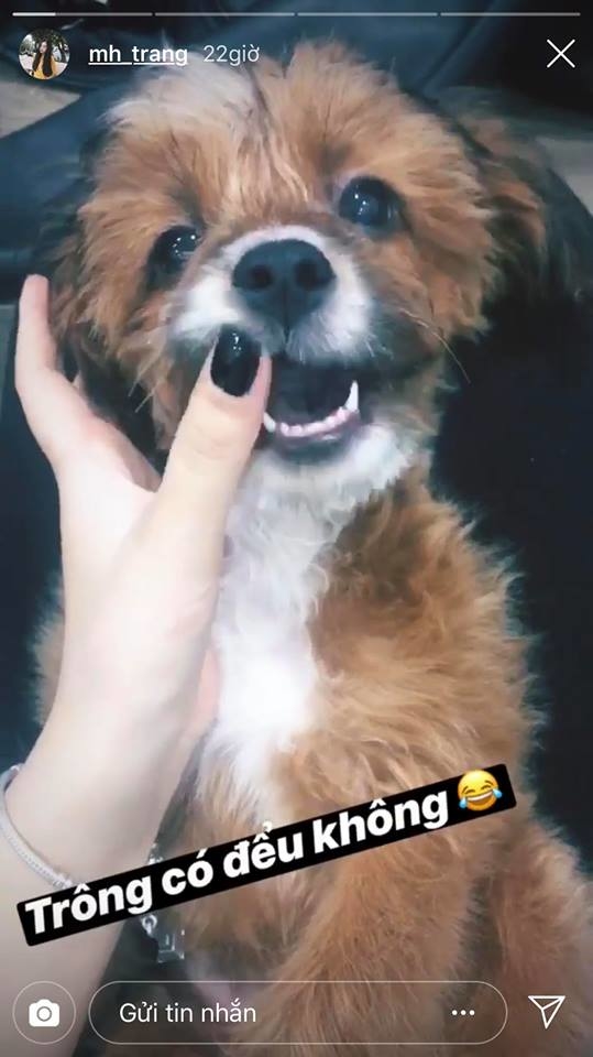 
Một số hình ảnh cho thấy Hà Trang chơi cùng chú chó cưng của Đức Chinh.
