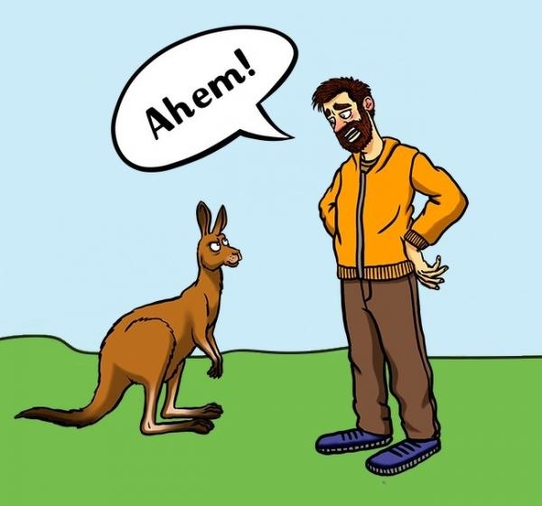 
Tránh làm kangaroo kích động để hạn chế sự tấn công.