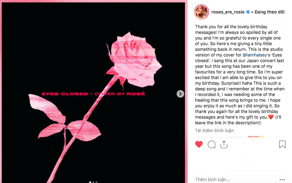 
Bài hát Rosé cover được đăng tải với ảnh bìa là một cây hoa hồng.